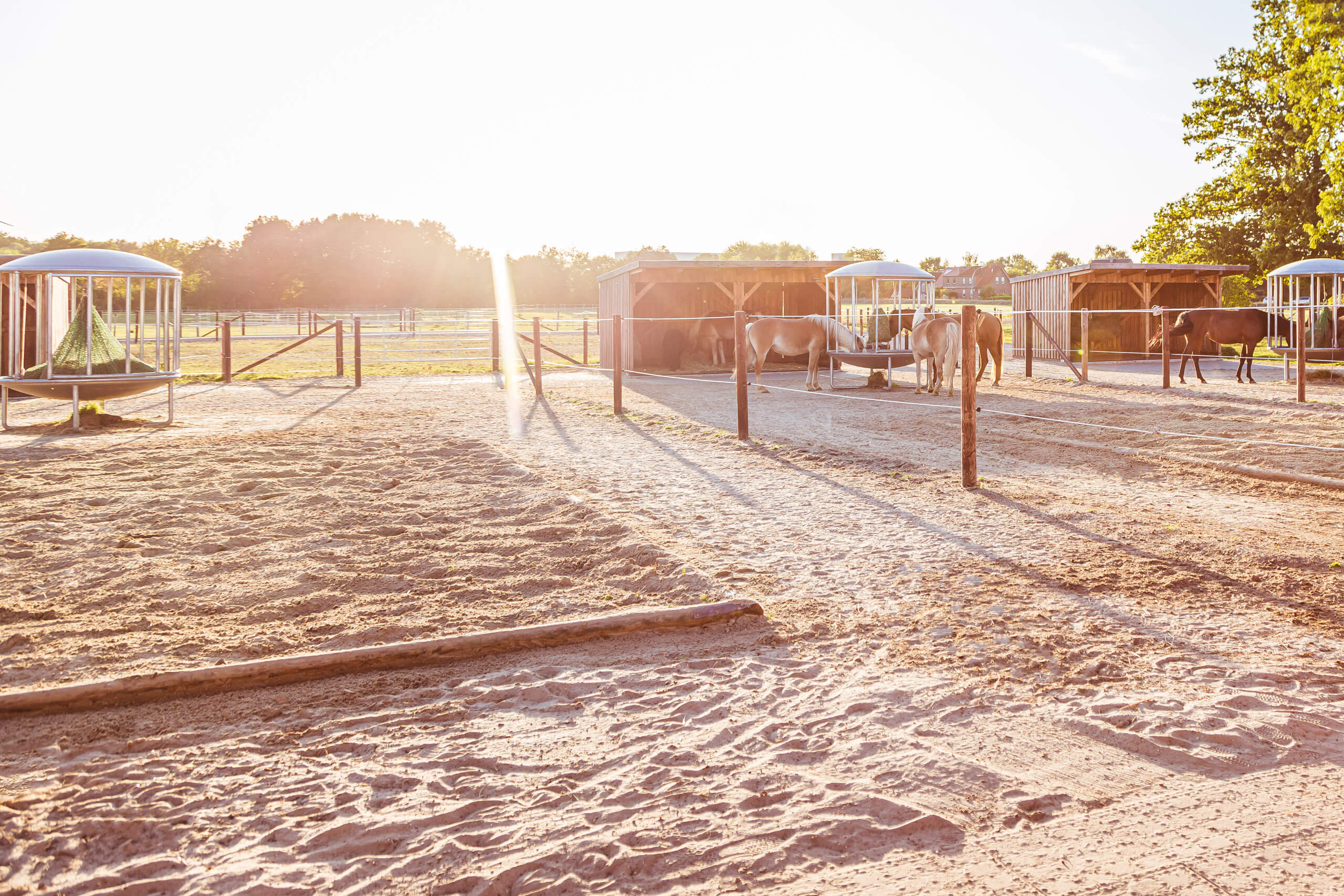 Der Offenstall von Münsterland Stables